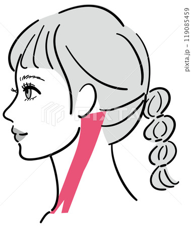 横顔の若い女性　胸鎖乳突筋 119085459
