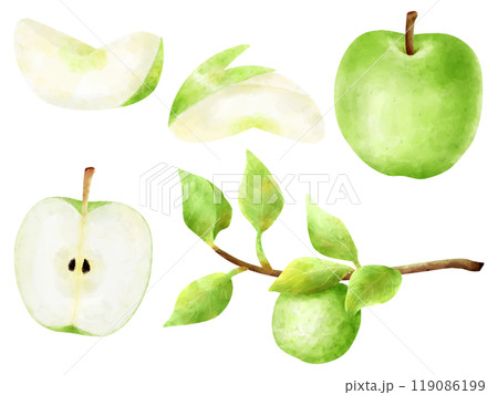 水彩で描いた青りんごのイラストセット 119086199