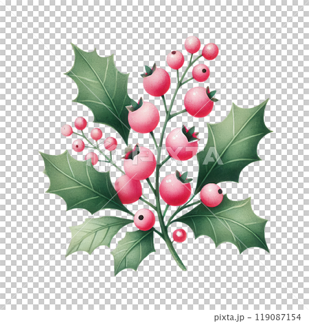 Beautiful holly branch illustration with vibrant green leaves and pink berries, perfect for holiday decor ideas. 119087154