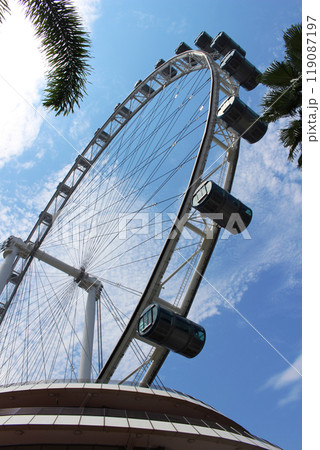 木陰から見上げたシンガポール・フライヤー 119087197