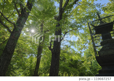 待乳山聖天の社叢と宝篋印塔(有形文化財) 待乳山聖天の社叢と宝篋印塔(有形文化財) 119087257