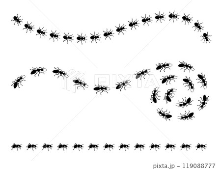 Black ants roads. Ant trails and paths, top view. Insects marching one after another, working together. Line and curve routes, neoteric vector scene 119088777