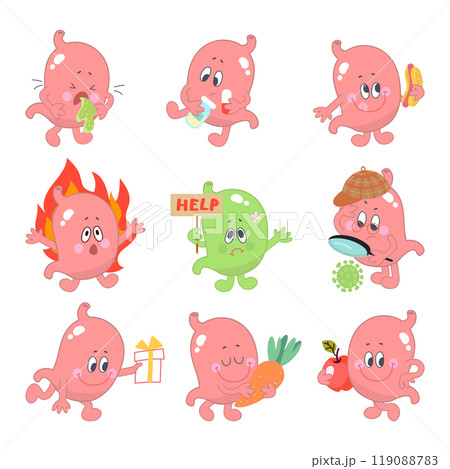 Cartoon stomach. Human stomach eating hot dog and healthy food, looking and need help. Prevention and treatment, heartburn gastritis nowaday vector icons 119088783