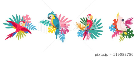 Exotic parrots. Plants and tropical birds, vibrant parrots and different leaves. Brazil australian animals. Bird stickers design, nowaday vector set Exotic parrots. Plants and tropical birds, vibrant parrots and different leaves. Brazil australian animals. Bird stickers design, nowaday vector set 119088786