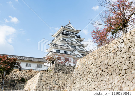 広島県福山市　令和の大普請（改修工事）を終えリニューアルされた福山城 119089843