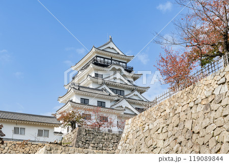 広島県福山市　令和の大普請（改修工事）を終えリニューアルされた福山城 119089844