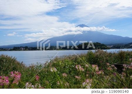 河口湖の湖畔に面した公園 大石公園 河口湖の湖畔に面した公園 大石公園 119090140