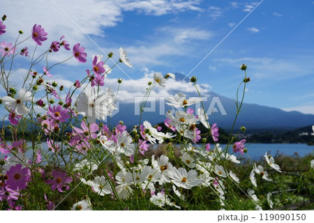 河口湖の湖畔に面した公園　大石公園 119090150