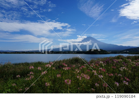 河口湖の湖畔に面した公園 大石公園 河口湖の湖畔に面した公園 大石公園 119090184