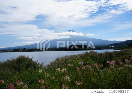 河口湖の湖畔に面した公園 大石公園 河口湖の湖畔に面した公園 大石公園 119090337