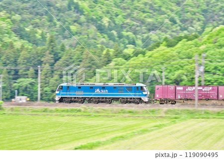 【東海道本線 JR貨物 EF210形電気機関車】 撮影場所：滋賀県米原市清滝 119090495