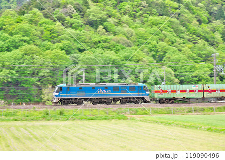 【東海道本線 JR貨物 EF210形電気機関車】 撮影場所:滋賀県米原市清滝 【東海道本線 JR貨物 EF210形電気機関車】 撮影場所:滋賀県米原市清滝 119090496