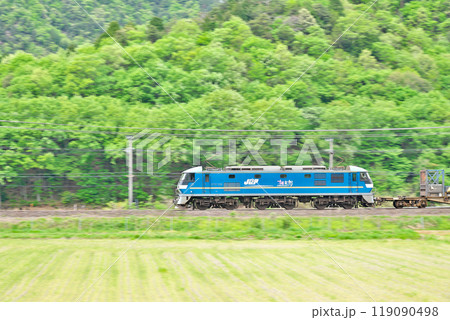 【東海道本線 JR貨物 EF210形電気機関車】 撮影場所：滋賀県米原市清滝 119090498