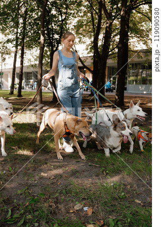 young woman dog sitter walks with dogs on lawn in park. concept of friendship, pet, recreation.  119090580