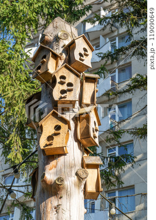 Birdhouse on a tree 119090649