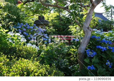 高幡山明王院金剛寺　高幡不動尊 119090856