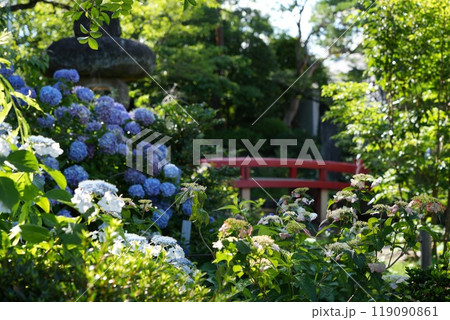 高幡山明王院金剛寺 高幡不動尊 高幡山明王院金剛寺 高幡不動尊 119090861
