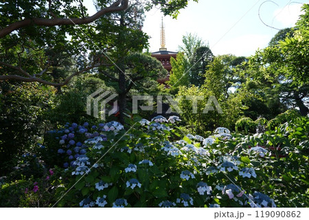 高幡山明王院金剛寺　高幡不動尊 119090862