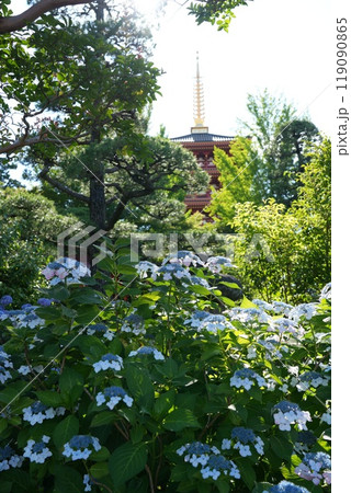 高幡山明王院金剛寺　高幡不動尊 119090865