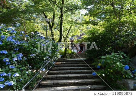 高幡山明王院金剛寺　高幡不動尊 119090872