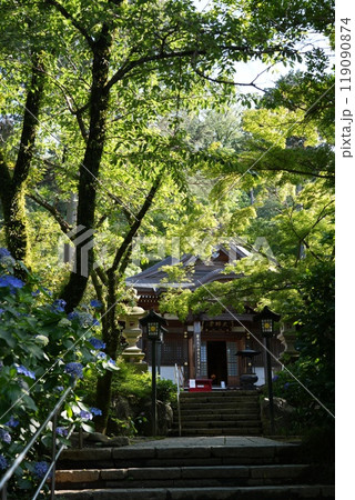 高幡山明王院金剛寺　高幡不動尊 119090874
