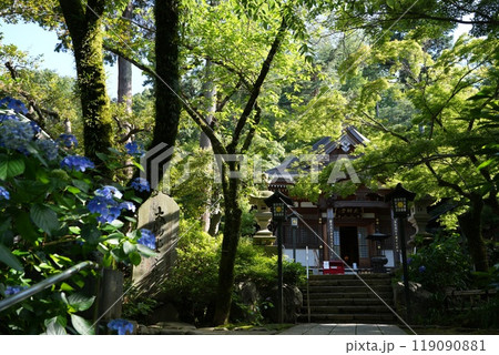 高幡山明王院金剛寺 高幡不動尊 高幡山明王院金剛寺 高幡不動尊 119090881