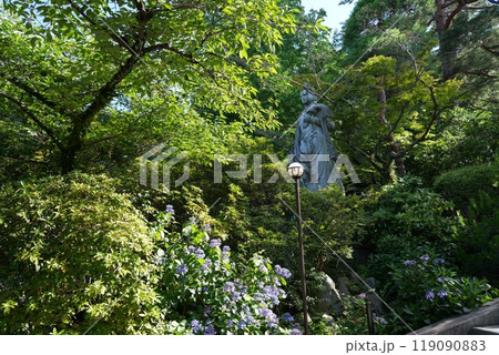 高幡山明王院金剛寺 高幡不動尊 高幡山明王院金剛寺 高幡不動尊 119090883