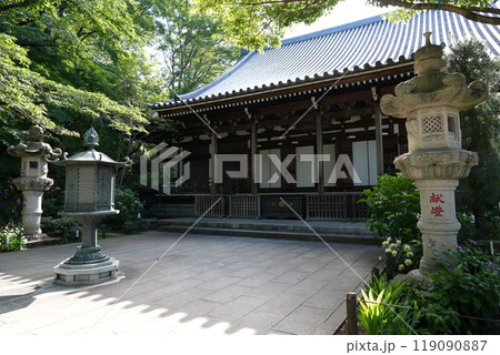 高幡山明王院金剛寺 高幡不動尊 高幡山明王院金剛寺 高幡不動尊 119090887