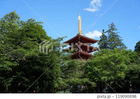 高幡山明王院金剛寺 高幡不動尊 高幡山明王院金剛寺 高幡不動尊 119090896
