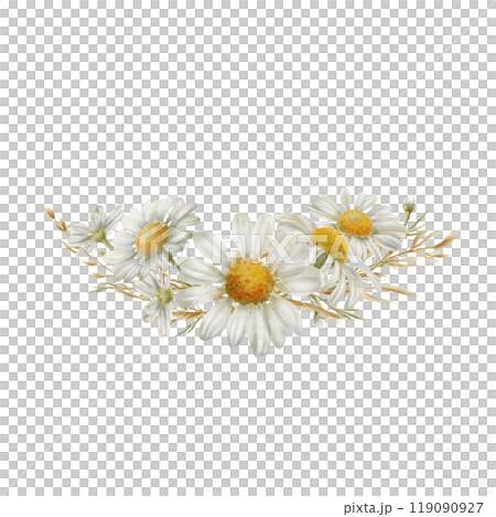 Corner frame element from white daisies flowers buds,dried flowers as a symbol of purity, innocence, love, fidelity. Watercolor clipart on transparent background for product design,postcards, calendar Corner frame element from white daisies flowers buds,dried flowers as a symbol of purity, innocence, love, fidelity. Watercolor clipart on transparent background for product design,postcards, calendar 119090927