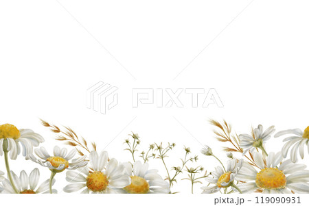 Seamless floral border of chamomiles,buds,stems,daisy petals,dried flowers,feverweed on white background in vertical wave direction in soft warm colors for textile, stationery,fashion industry Seamless floral border of chamomiles,buds,stems,daisy petals,dried flowers,feverweed on white background in vertical wave direction in soft warm colors for textile, stationery,fashion industry 119090931