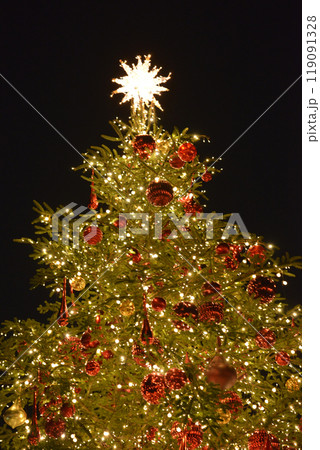 Christmas tree① 119091328