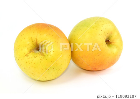 りんご（トキ） 119092187