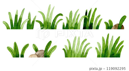 watercolor drawing, grass set. simple lawn drawing watercolor drawing, grass set. simple lawn drawing 119092295
