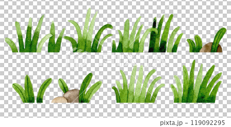 watercolor drawing, grass set. simple lawn drawing watercolor drawing, grass set. simple lawn drawing 119092295