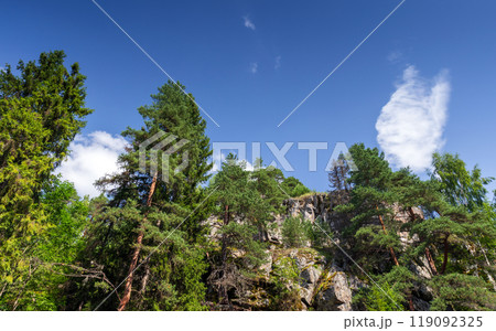 Karelian forest, summer landscape photography with rocks and trees Karelian forest, summer landscape photography with rocks and trees 119092325