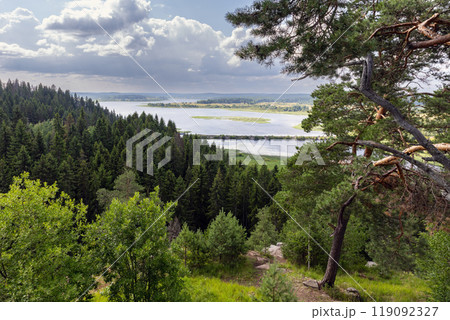 Summer mountain landscape with pine trees growing on rocky ground 119092327