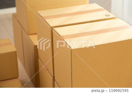 引っ越しの荷物が入ったたくさんのダンボール 119092595