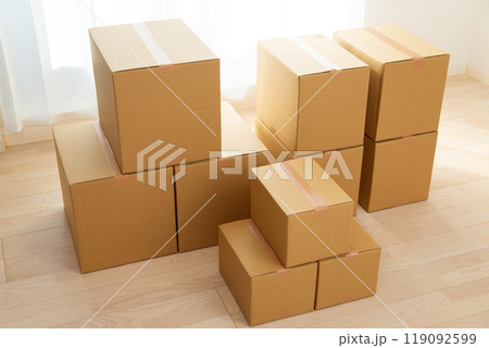 引っ越しの荷物が入ったたくさんのダンボール 引っ越しの荷物が入ったたくさんのダンボール 119092599