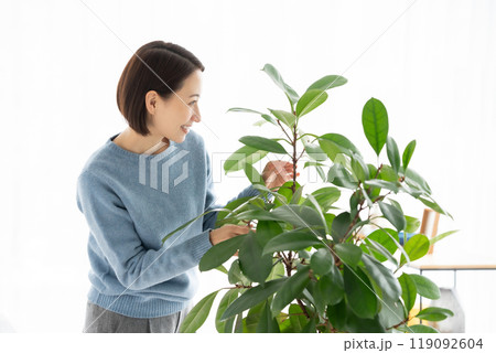 観葉植物のお手入れをする女性 観葉植物のお手入れをする女性 119092604
