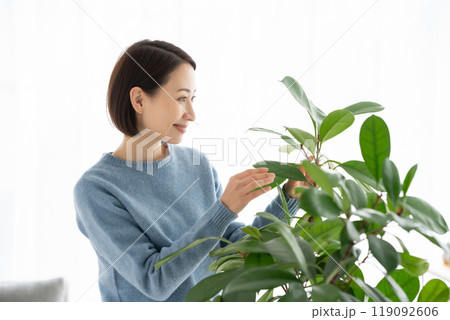 観葉植物のお手入れをする女性 観葉植物のお手入れをする女性 119092606