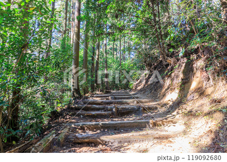 猿投山 愛知県豊田市 猿投山 愛知県豊田市 119092680