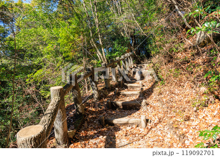 猿投山　愛知県豊田市 119092701