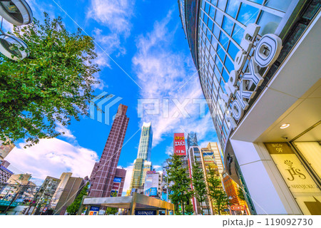 日本の東京都市景観　10月。新宿駅東口前。歌舞伎町やAlpenTOKYOなどを望む＝7日 119092730