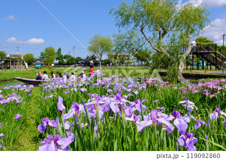 水郷佐原あやめパーク 千葉県 水郷佐原あやめパーク 千葉県 119092860