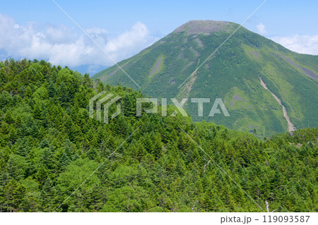 北横岳北峰から望む蓼科山 北横岳北峰から望む蓼科山 119093587