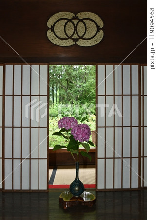 紫陽花の花の生花 紫陽花の花の生花 119094568