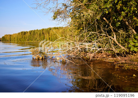 Serene Riverbank Scene with Lush Greenery Serene Riverbank Scene with Lush Greenery 119095196