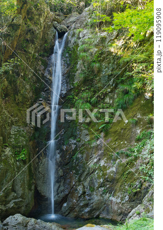 間近で見れる滝　 119095908