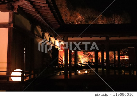 夜の紅葉ライトアップ 119096016